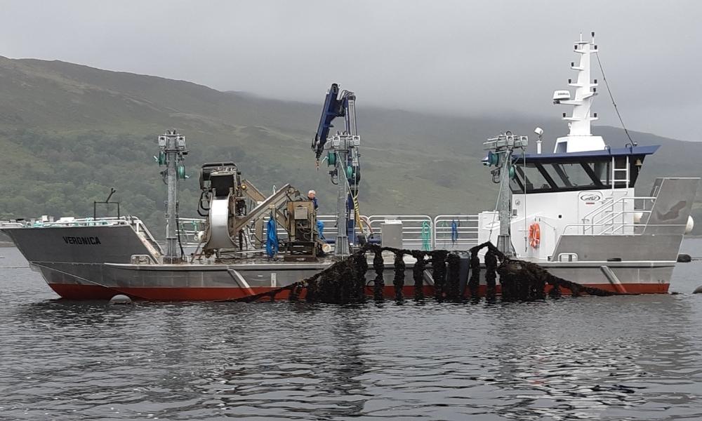 SEAFOOD FARMING SHIPS