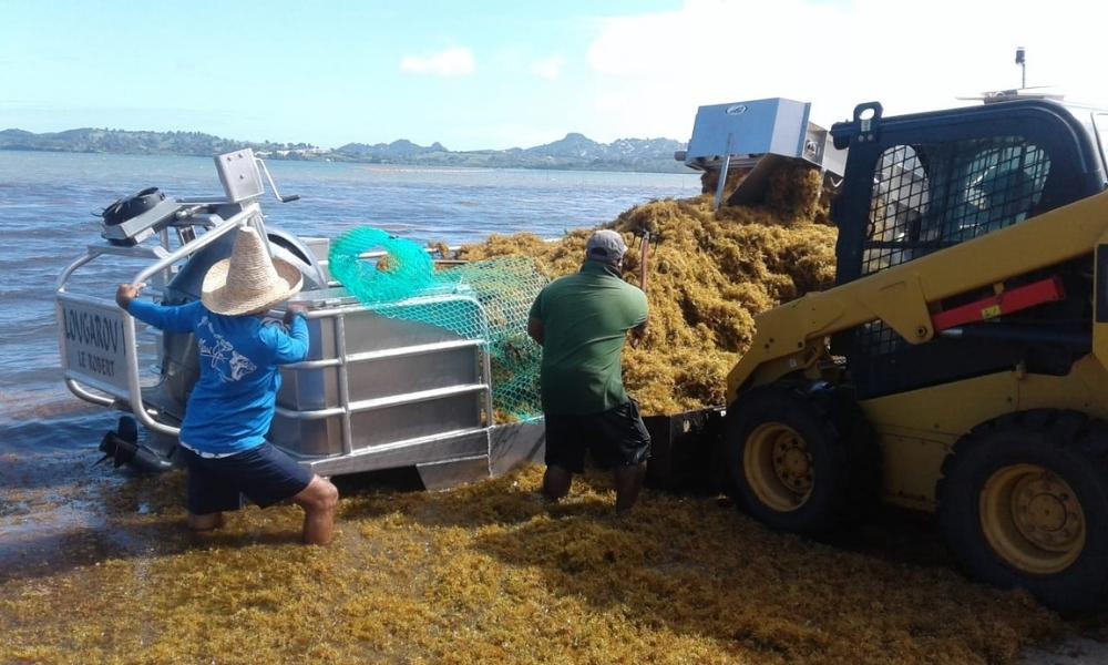 SEAWEED COLLECTOR SHIPS