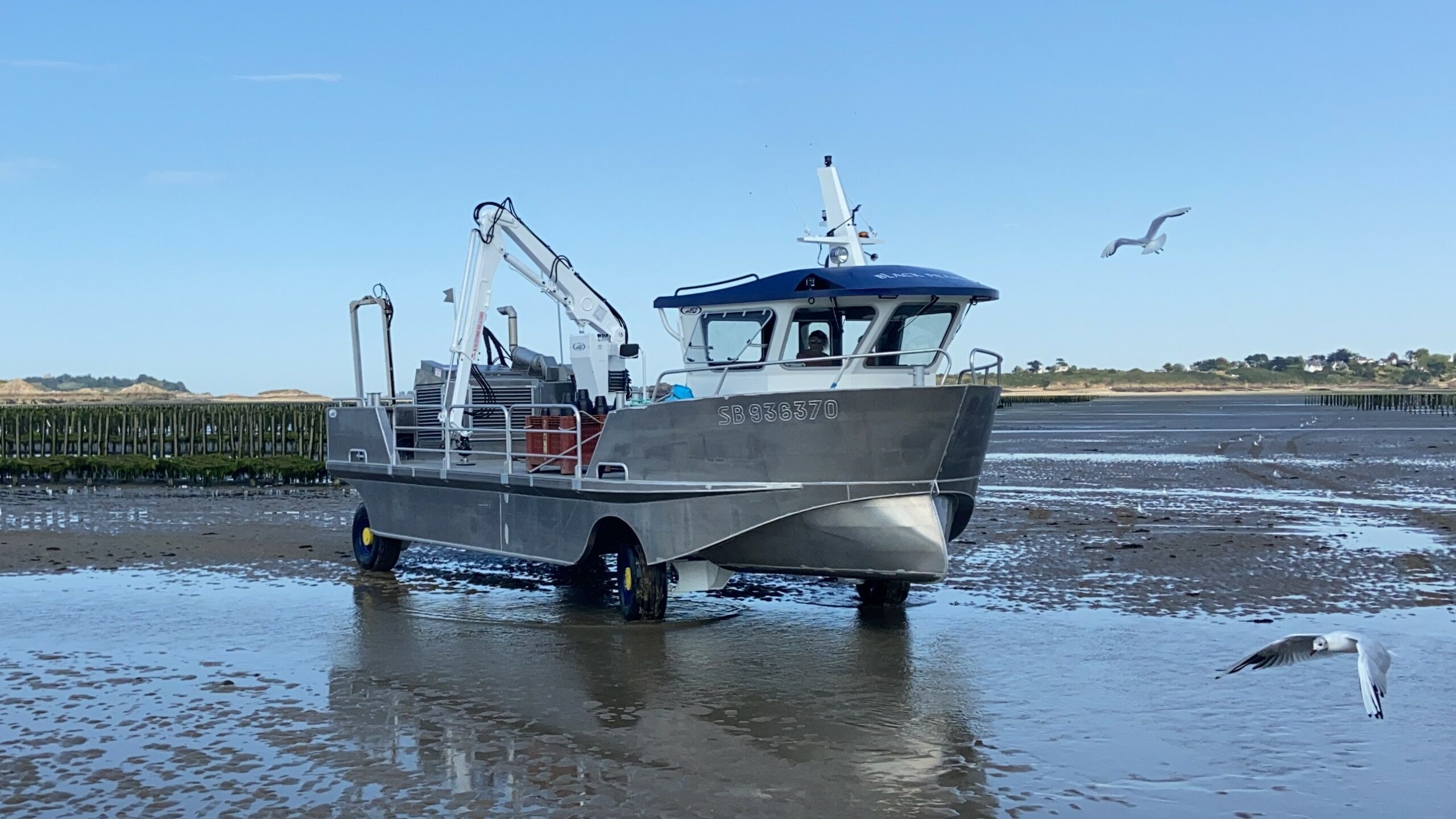 BARGES AND AMPHIBIAN SHIPS