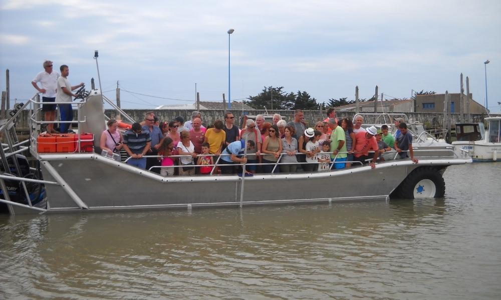 AMPHIBIAN PASSENGER SHIPS